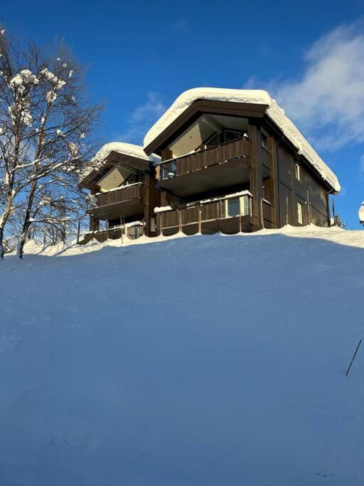 Apartment Bjelbolens Stjernely *