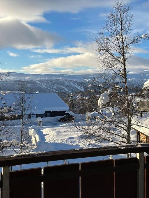 Apartment Bjelbolens Stjernely